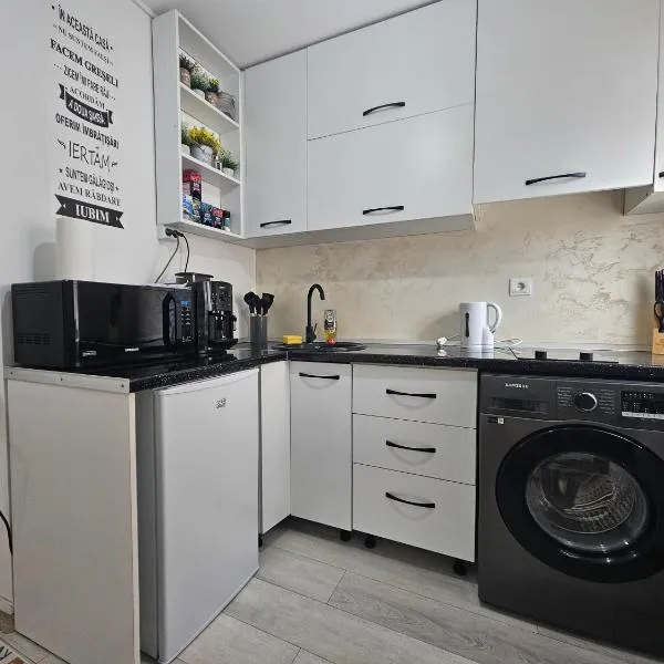 Garsoniera，位于拉姆尼库沃尔恰的酒店