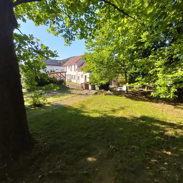 Maison à 8 min de Saint Dié en lieu calme proche nature Lacs, forêt, Parcs，位于拉翁莱塔普的酒店
