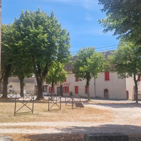 Hôtel du Cerf，位于La Guerche-sur-lʼAubois的酒店