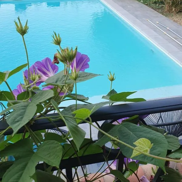 La Gouillette en Camargue，位于贝勒加德的酒店