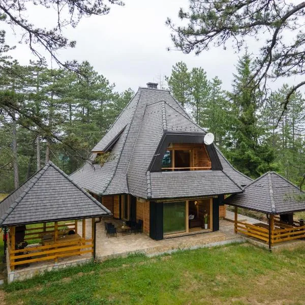 Apartman Crni bor 1 Tara，位于卡鲁德杰尔斯科巴尔的酒店