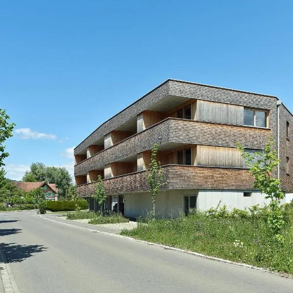 BOUTIQUE APARTMENTS LUSTENAU Nachhaltige Kühlung über Erdsonde und Fussbodenkühlung，位于卢斯特瑙的酒店