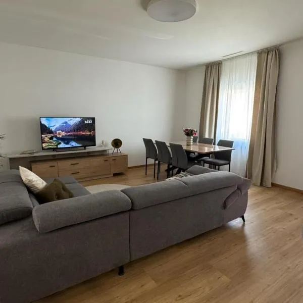 Apartment Andi Parndorf，位于帕恩多夫的酒店
