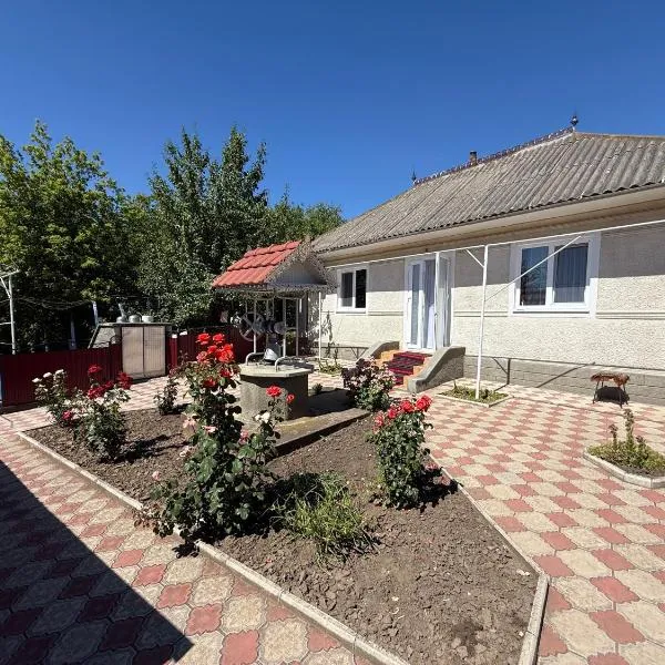 EthnoVilla - A comfortable Moldovan house for a peaceful and relaxing stay Молдавский, уютный дом для отдыха，位于Trinca的酒店