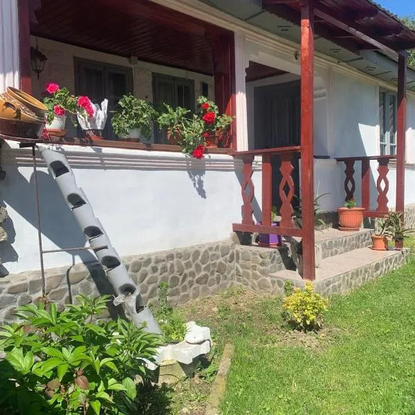 Casa Putna，位于Vidra的酒店