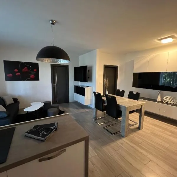 Apartmán LUNA Trenčín，位于特伦钦的酒店