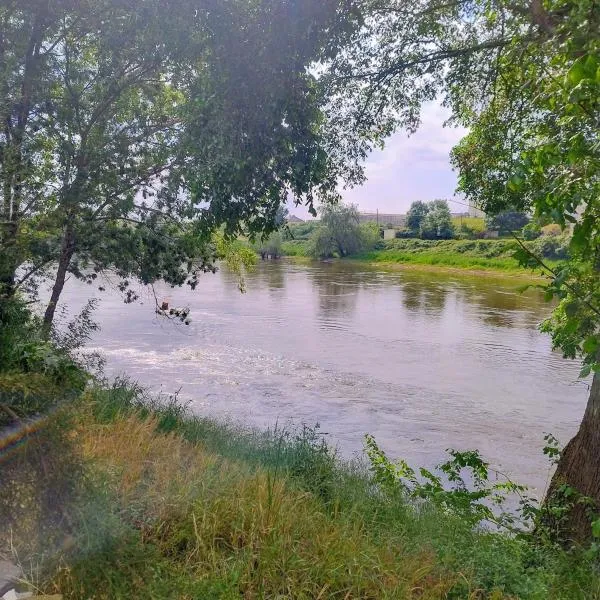 Le gite de l'ile du Buzet，位于Saint-Florent-le-Vieil的酒店