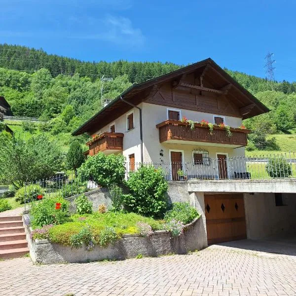 Baitin Flox，位于博尔米奥的酒店