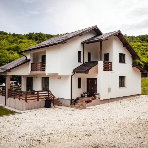 Pensiunea Cristina，位于Miceşti的酒店