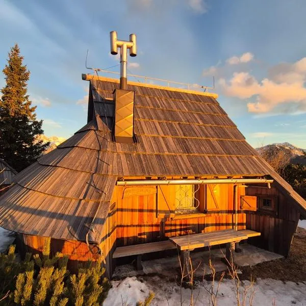 Koča Velika Planina - Chalet Kamrica，位于Stahovica的酒店