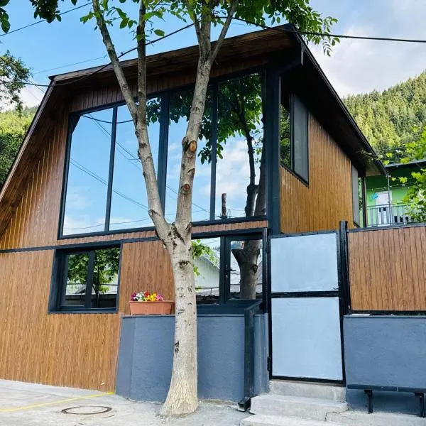 Buddy Cottage Borjomi，位于博尔若米的酒店