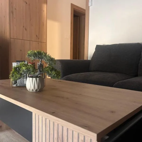 Apartman Pervan，位于查普利纳的酒店