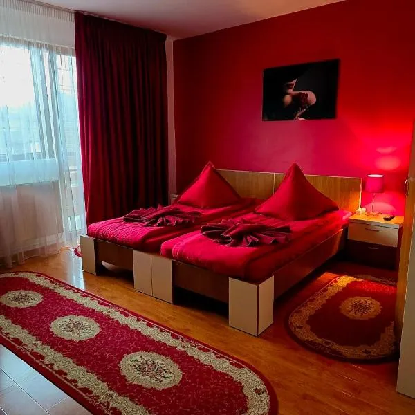 Pensiunea Adriana，位于瓦杜伊泽的酒店