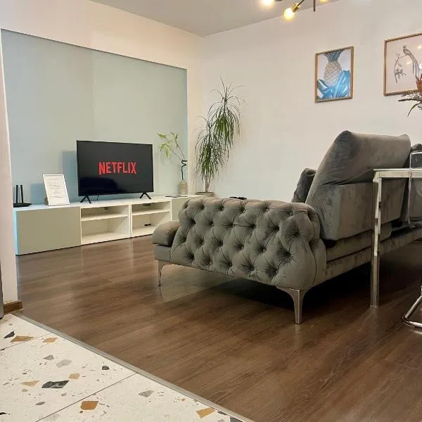 Old Town View- UltraCentral Apartment，位于特尔戈维什泰的酒店