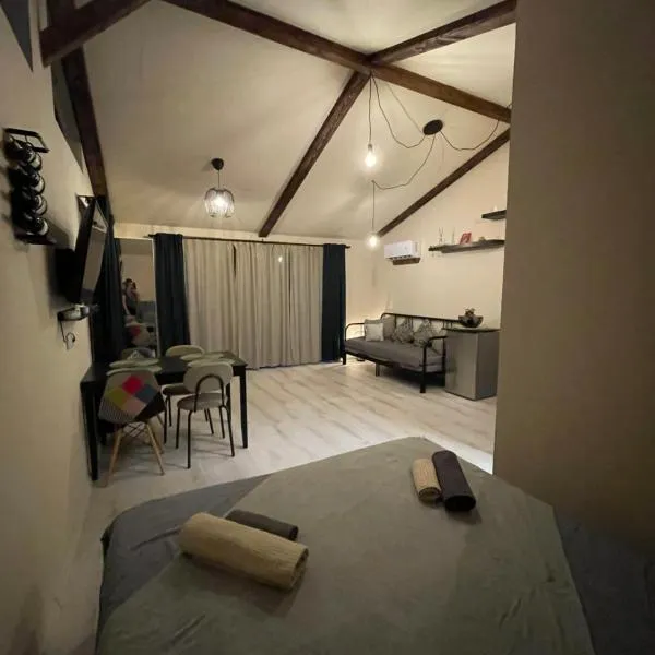 317 Accommodation，位于Ucea de Sus的酒店