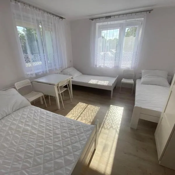 Pokoje gościnne Damian Waleryszak，位于济夫努夫的酒店