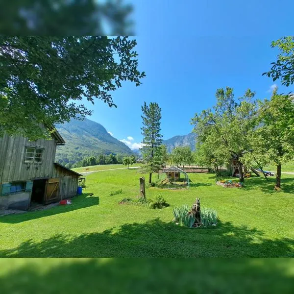 Urlaub am Liasnhof，位于巴特奥塞的酒店