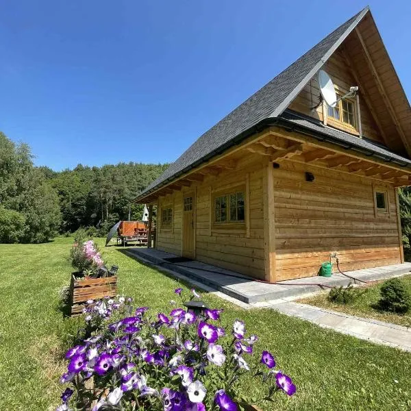 Chatka przy lesie Roztocze Szewnia Dolna 74 22-442，位于Szewnia的酒店