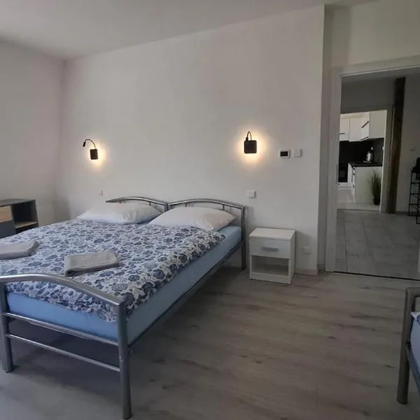 Masarykova apartmens 8，位于特普利采的酒店