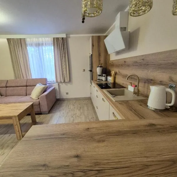 Apartament AMETYST，位于Zastań的酒店
