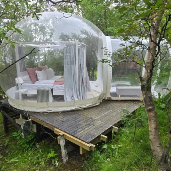 Eyja Mork - Aurora Igloo with Hot Tub, BBQ and shared kitchen，位于Stora Mork的酒店
