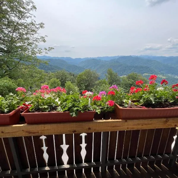 Apartma Mohorič，位于伊德里亚的酒店