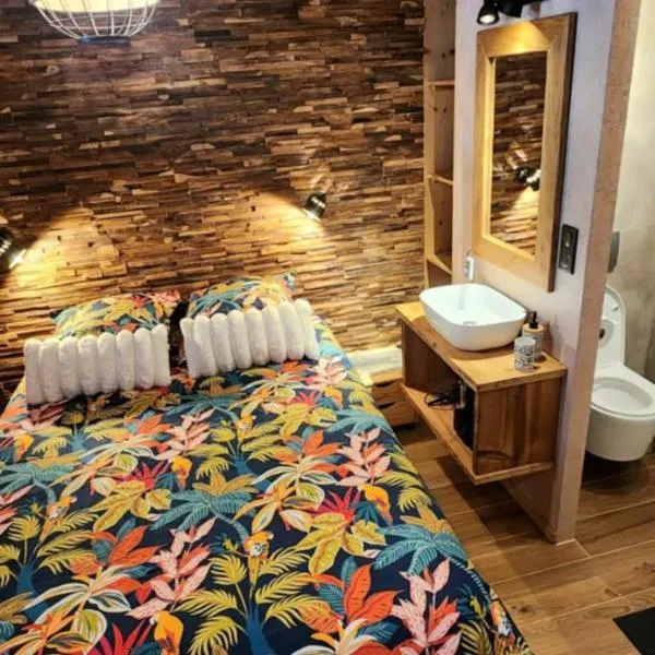 Appartement Lac de Vonnes Chatel，位于沙泰勒的酒店
