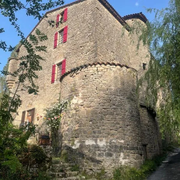 Le Château de Sorgues，位于Cornus的酒店