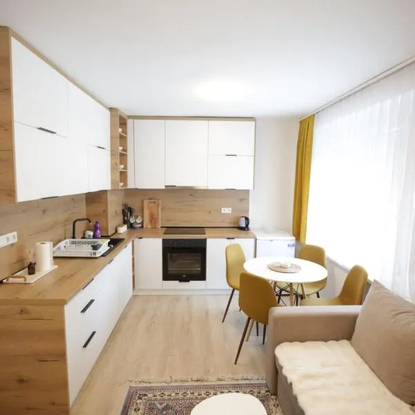 Apartman Centar，位于福伊尼察的酒店