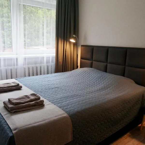 Külaliskorter Tõrva linnas，位于Tõrva的酒店