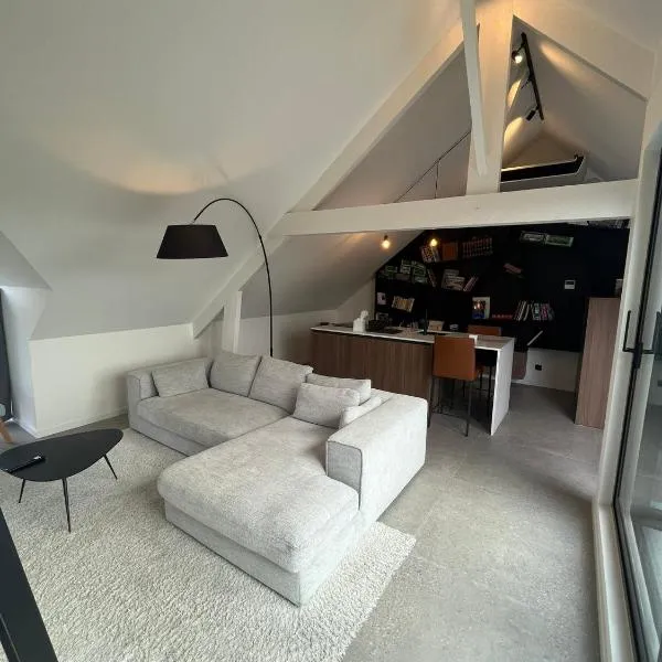 Business Accommodation 'Loft' Intimate，位于赫尔的酒店