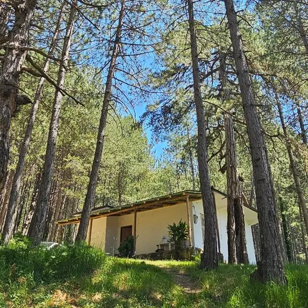 Bujtinat Skenderi Gjinar 2，位于Gjinar的酒店