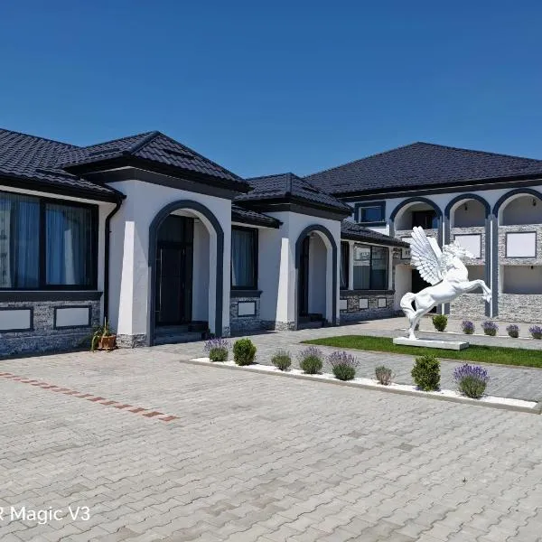 Hanul Dintre Vii，位于Mărăşeşti的酒店