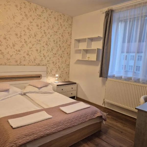 Apartament de închiriat，位于博尔塞克的酒店