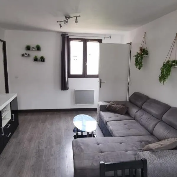 Maison avec jardin et garage，位于沙托鲁的酒店