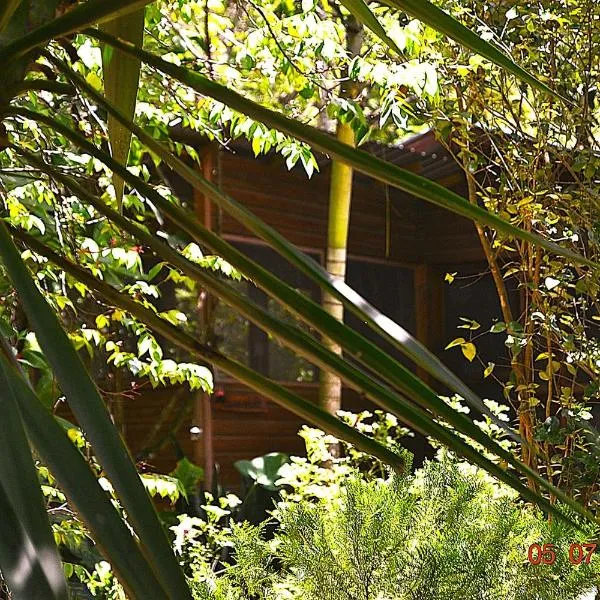 Wild Wonderful Family-Friendly Jungle Like Oasis in San Ignacio Belize，位于圣伊格纳西奥的酒店