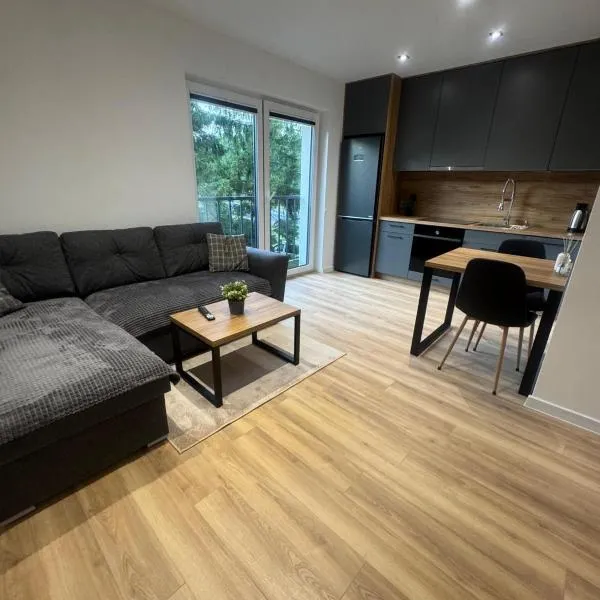 Apartament Maksa，位于奥斯特罗达的酒店