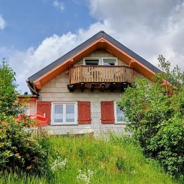 Ferienhütte Ilmtalblick，位于伊尔梅瑙的酒店