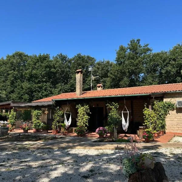 Agriturismo Antiglia，位于索瓦纳的酒店