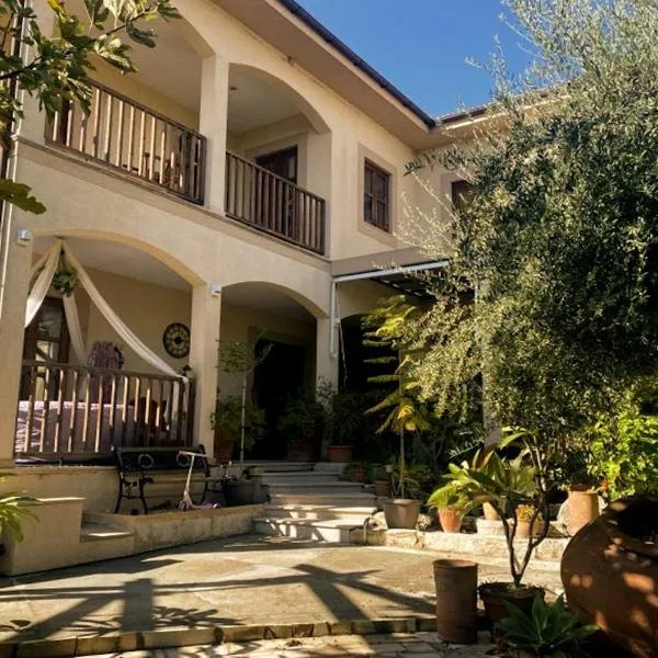 Olive Tree House，位于Anoyira的酒店