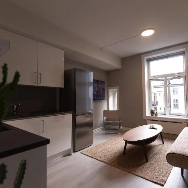 Nordic Style - Modern downtown apartment，位于奥斯陆的酒店