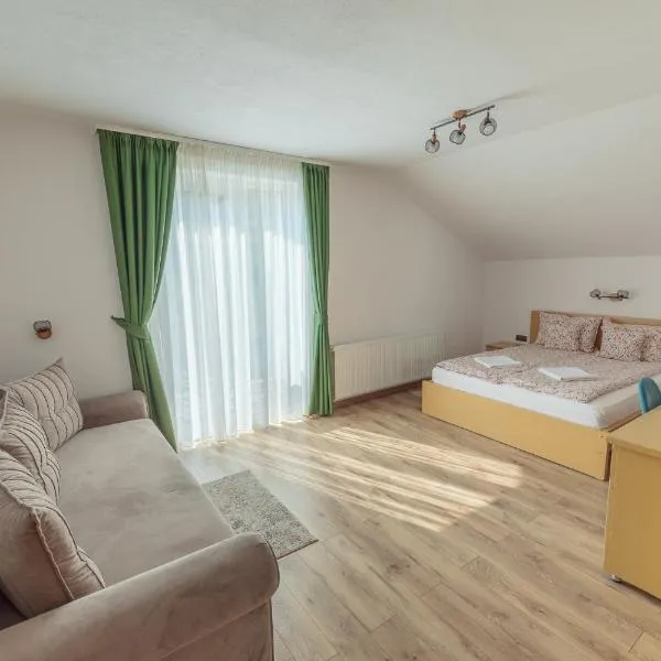 Pensiunea Patakparti 4，位于普拉伊德的酒店