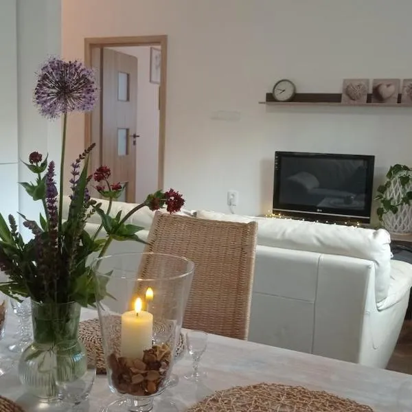 Apartmán v Podhradí Boskovice，位于布兰斯科的酒店