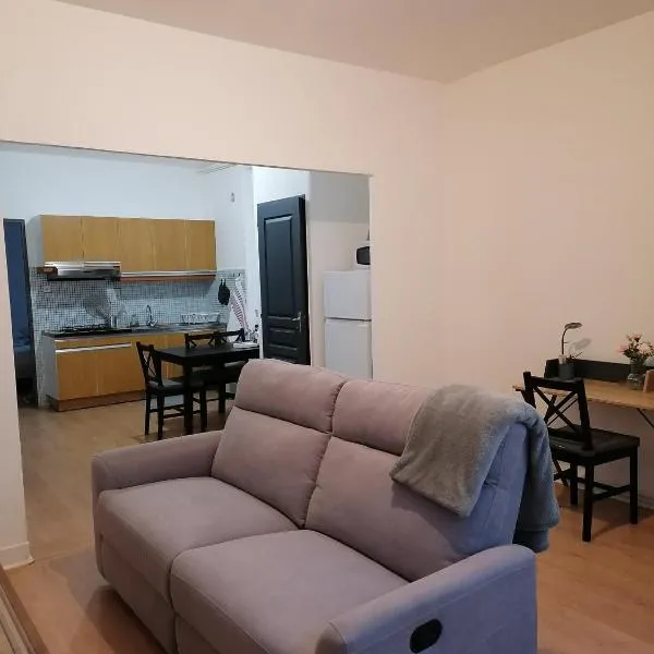 Appartement en centre ville，位于昂贝尔的酒店