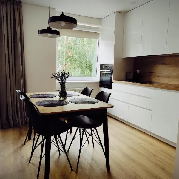 Stay Rokiškis apartments，位于罗基什基斯的酒店