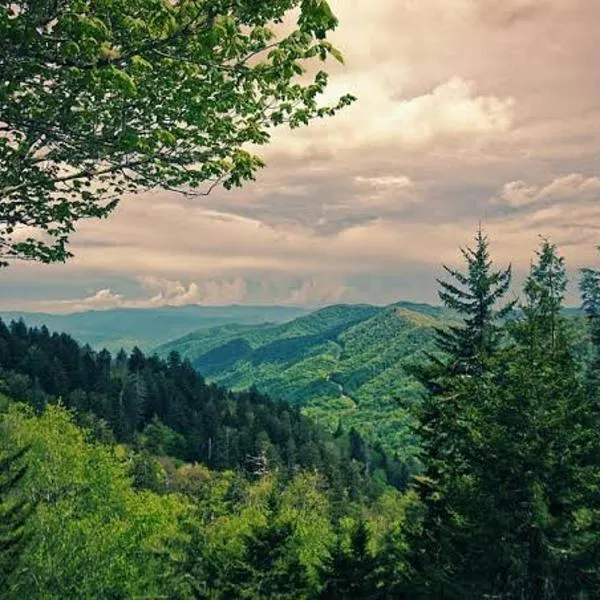 A Mountains Suffer Hotel Kasauli，位于卡绍利的酒店