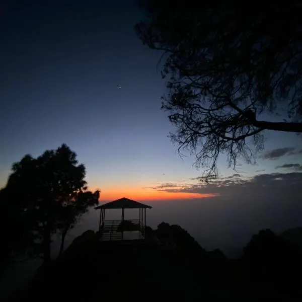 Pinewood Sunrise Homestay Kasauli，位于卡绍利的酒店