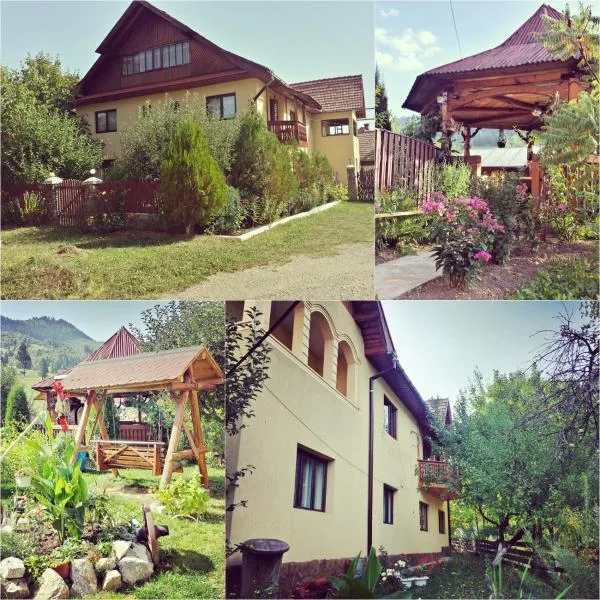 Pensiunea La Muncel，位于Botuş的酒店