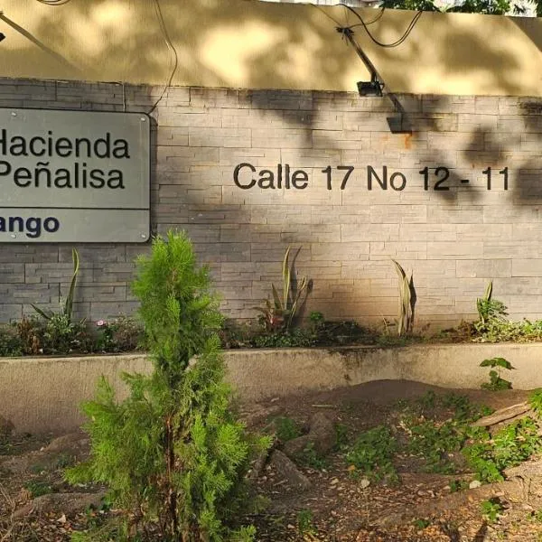 Hacienda Peñalisa Mango，位于里考尔特的酒店