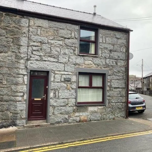 Twrog, 3 bedroom house，位于布莱奈费斯蒂尼奥格的酒店